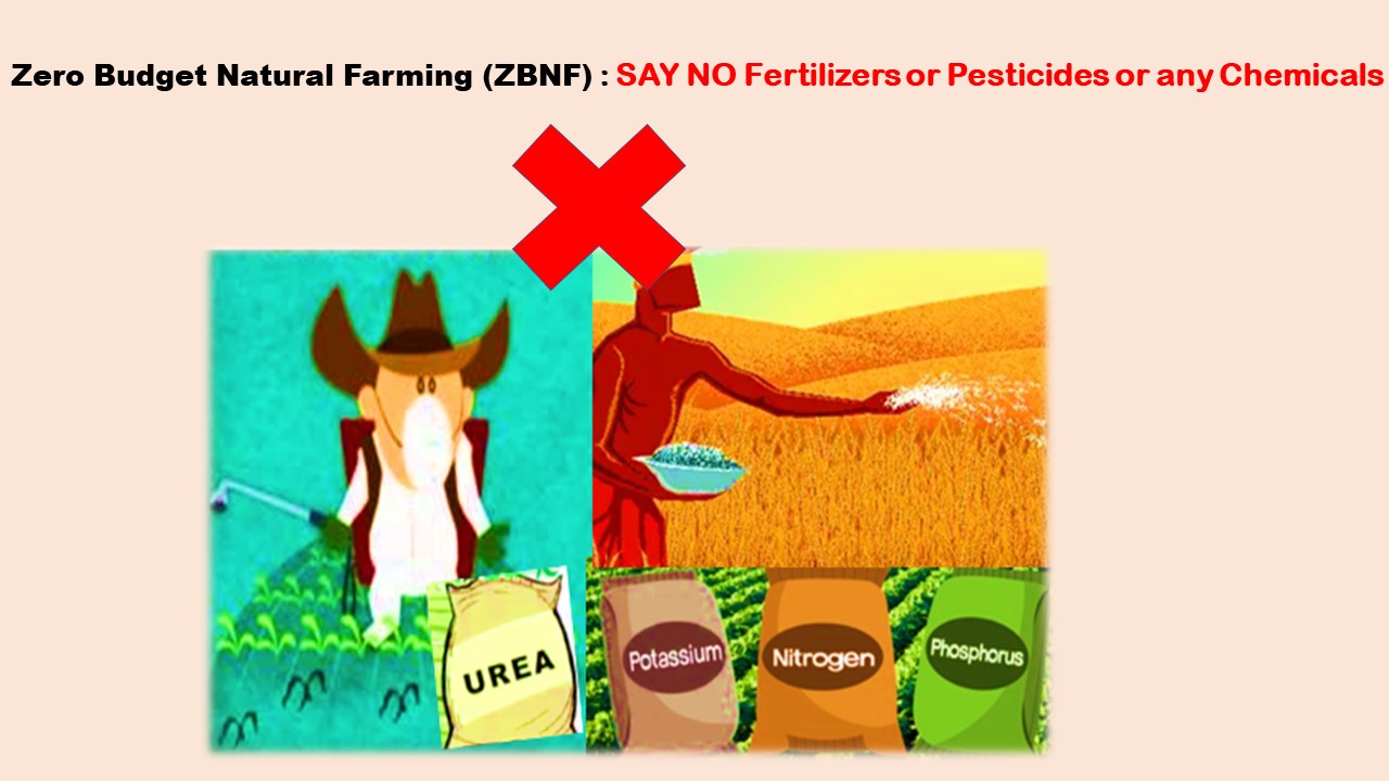 Zero Budget Natural Farming